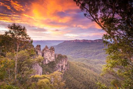 Sydney Private Day Tours, Luxury Private tours to the Blue Mountains, Best Day Trips from Sydney, Blue Mountains Tours