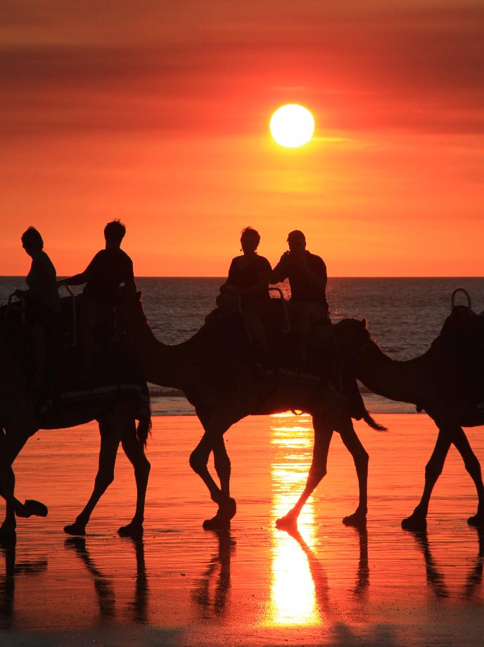 Scott and Julia Goodwin, Sydney Private Day Tours Founders and Sydneys best Private Tour Guides.