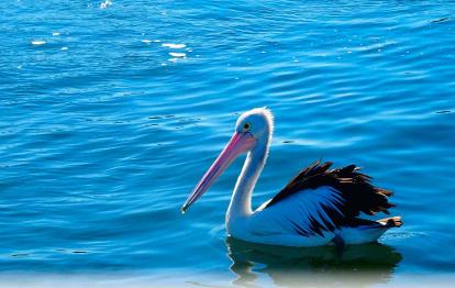 Sydney Private Day Tour Beaches