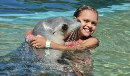 Gold Coast Private Tours, Seaworld Gold Coast, Private Day Tours Gold Coast