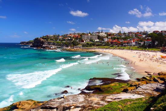 Half Day Sydney Sight Seeing Tour, Sydney Private Tour, best tours for families