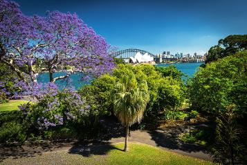 Sydney's best value private tours. See the best of Sydney, the main attractions and off the beaten path locations.